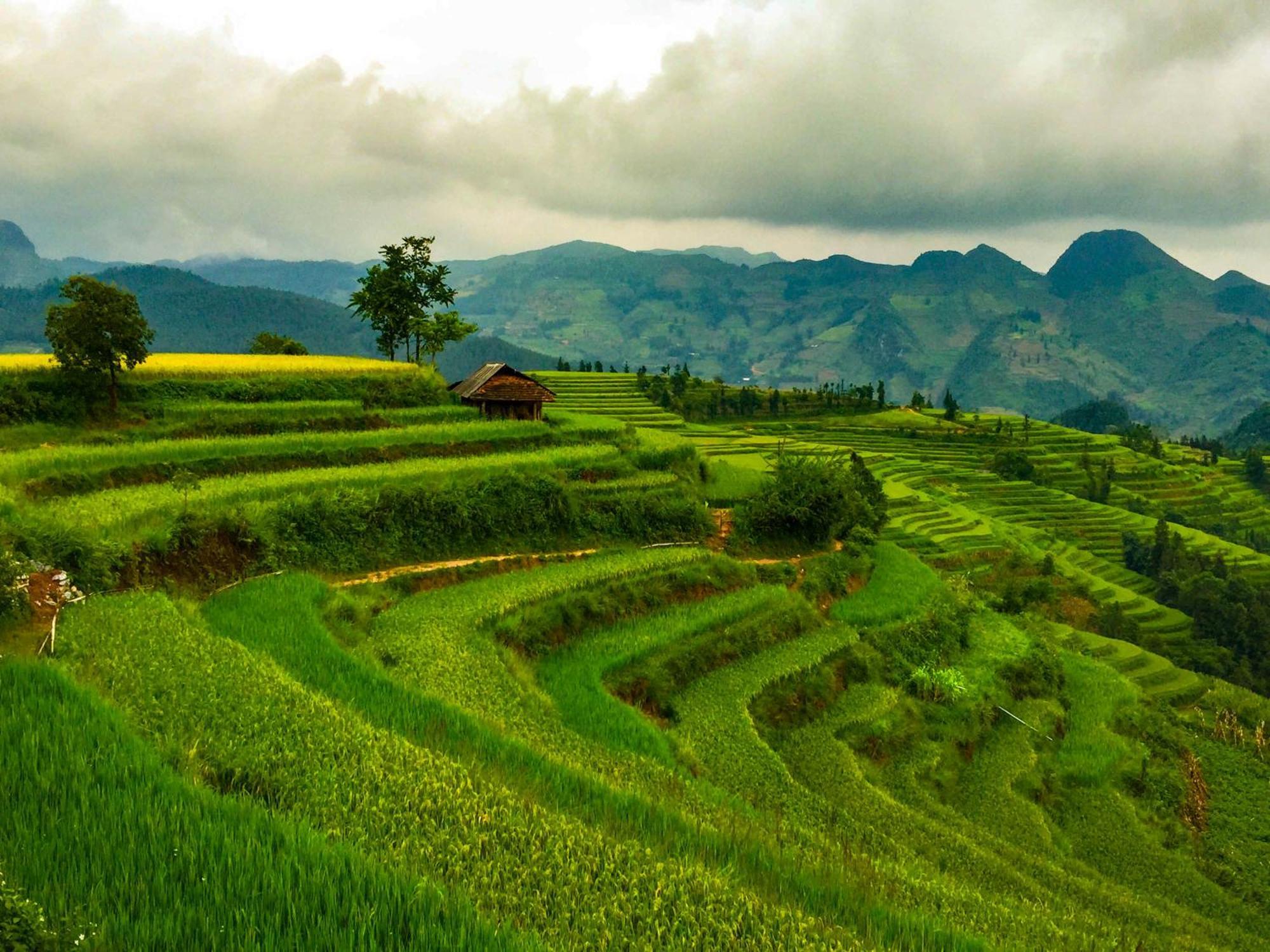 Cong Fu Hotel Bac Ha  Exteriör bild